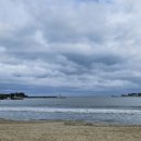 갯마을을 그리워하는 이미지