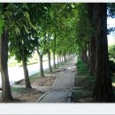 미숭산자연휴양림 이미지