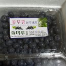 솔미농원 이미지