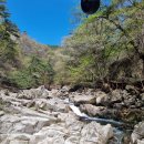 해인사 | [합천] 주차 꿀팁 평일 낮 후기 - 해인사 가야소리길