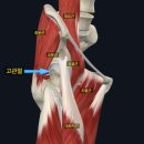 박제성 운동케어 CHI & FIT 퍼스널 트레이닝 | #PT #웨이트 전에 해주면 좋은 #준비운동 소개! #위례PT #송파PT #개롱PT #감일PT #마천PT #거여PT
