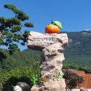 장연생태공원 이미지