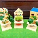 김해목재문화박물관 이미지