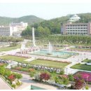 일동중앙오피스 네이버블로그
