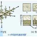 용율 이미지