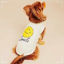 민트도그 이미지