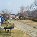 도림사오토캠핑리조트 이미지