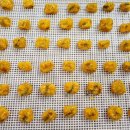 윈앤코 강아지 수제간식점 이미지