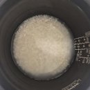 골드퀸 | 최고의 밥맛 조선마켓 '조선향미' 솔직후기 [골드퀸3호]