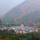 청도양조 이미지