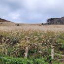 구래약수터 이미지