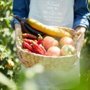 농민농약사 이미지