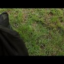 slow groom 이미지