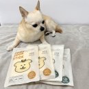 코코댕 | 강아지 알러지 간식 코코댕 순순스틱 내돈내산 후기