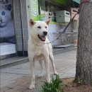 박성식동물병원 이미지