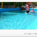 수달수영장 앞 이미지