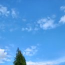 나훈아노래방 이미지