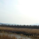 서천MTB 이미지