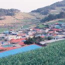 곡천민박 네이버블로그