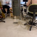 (주)에프에프에이 | 서울성모병원안과검사 황반변성 망막 FAG검사 후기 및 비용 외