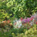 화곡4동488 이미지