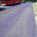 철정농장 | [국내] 강원도 고성 하늬라벤더 팜 💜 당일치기 버스투어 여행 (Feat. 아야진 해변, 속초) 上