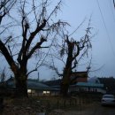 행림서원 이미지