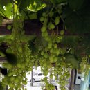 중흥2동행정복지센터 이미지