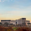 닭스 | 내돈내산) 파라다이스 시티, 그랜드 하얏트 배달맛집 : 인천 스타닭스 후기 (+나는 여기 넘 맛있어서)