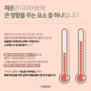 드림점핑다이어트 이미지