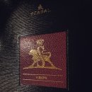 비전(Vision- 이미지