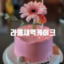 라움새벽케이크