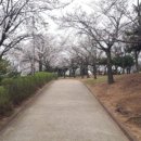 세영공원 농구장 이미지