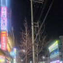 막창품은뒷고기 - 화성시 행정서로3길 8-3 | 막창품은뒷고기