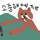 댕댕댕 유치원 이미지