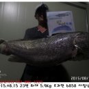 k3바다낚시터 이미지