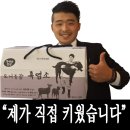 도니 친환경 목장 | [도니친환경농장]방목장에 눈이 왓어요/방목흑염소/흑염소엑기스/흑염소진액