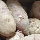 으뜸농장 이미지