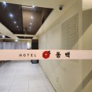 동백호텔(해운대점) | 부산 해운대 숙소 동백호텔 여름 성수기 10만 원대 가성비 호텔