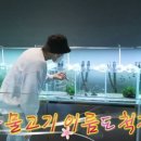 수초닷컴