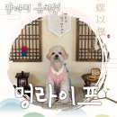 멍라이프 이미지