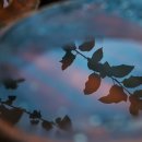 광덕농원 이미지