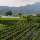 창촌보건진료소 이미지