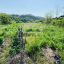 오봉리농장 이미지