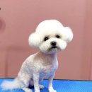 바르다펫 대전점 | :) 5