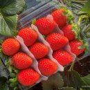 아람유통 이미지