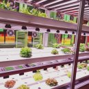 경기유통형마을기업 이미지