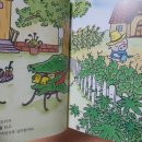 돼지네울타리 이미지