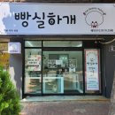 빵실하개 이미지