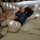 땡구야놀자 | 땡구의 중기-후기 분리수면을 성공한 비법